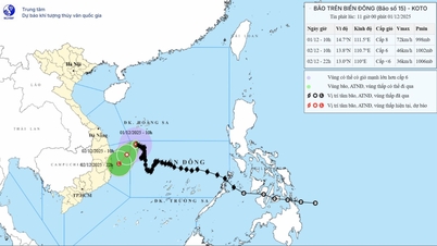 סופה מספר 15 צפויה להיחלש ולהפוך לשפל טרופי ב-2 בדצמבר