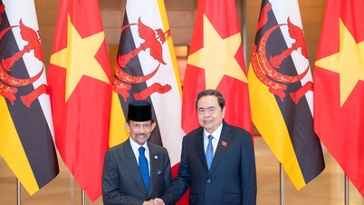 Chủ tịch Quốc hội Trần Thanh Mẫn hội kiến Quốc vương Brunei