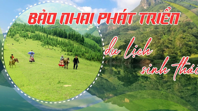 バオ・ナイがエコツーリズムを開発