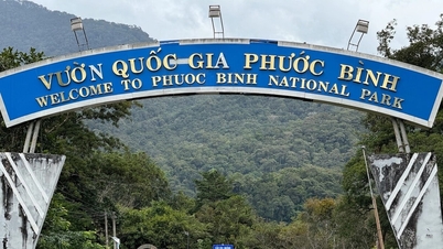 ឧទ្យានជាតិភឿកប៊ិញ៖ ដើរលេង ងូតទឹកតាមដងអូរ និងតាមប្រមាញ់ពពក