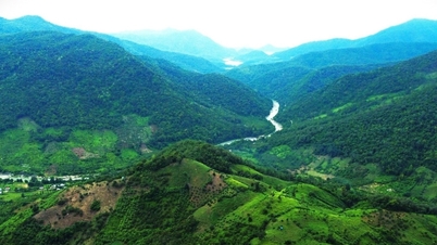 Parque Nacional de Phuoc Binh: Uma viagem ao 'oásis verde'