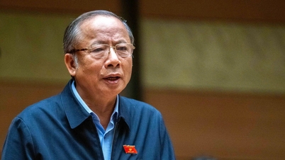 Εκπρόσωπος της Εθνοσυνέλευσης: Δισεκατομμύρια δολάρια επενδύονται σε ορυχεία, γιατί δεν υπάρχει λύση για την εκμετάλλευσή τους;