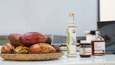 Especialista francês: O cacau vietnamita é muito saboroso e qualificado para a produção de chocolate de alta qualidade.