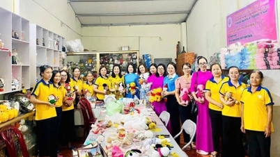 Linh's Crochet - Humanitarian Economic Model