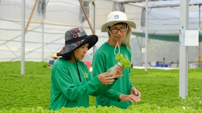 Promoting the role of farmers as the main subject