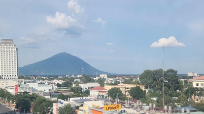 타이닌은 혁신 지수 측면에서 전국 상위 10위에 들기 위해 노력합니다.