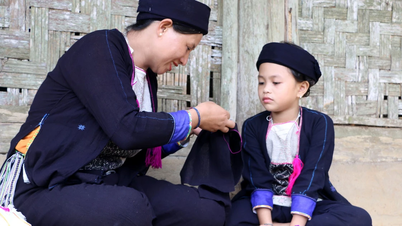 Pemerintah merinci sejumlah pasal dan tindakan untuk mengatur dan membimbing pelaksanaan Undang-Undang tentang Warisan Budaya.