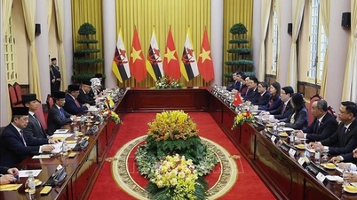 ประธานาธิบดีเลืองเกวงหารือกับกษัตริย์แห่งบรูไน