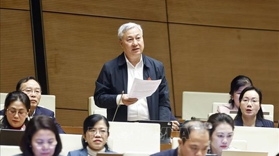 نجی وسائل کا استحصال، ریاستی معیشت کے ریگولیٹری کردار کو مضبوط کرنا