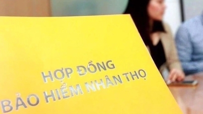 Une compagnie d'assurance japonaise dépense plus de 5 000 milliards de dongs pour racheter MVI Life au Vietnam.