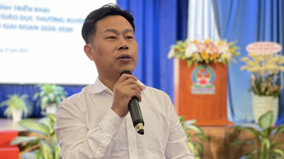 Optimierung von Institutionen und Strategien zur Verbesserung der Qualität der Berufsschulausbildung