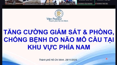 Persidangan dalam talian mengenai pengukuhan pengawasan dan pencegahan penyakit meningokokal