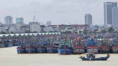 1-2 ribut dan lekukan tropika mungkin muncul di Laut Timur pada bulan Disember