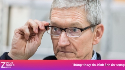 چه کسی می‌تواند جایگزین تیم کوک شود؟