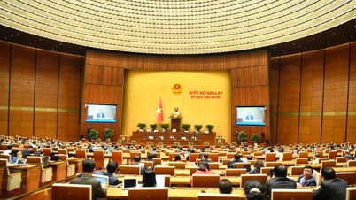 تلقي الآراء لإزالة "الاختناقات" في القوانين الزراعية والبيئية