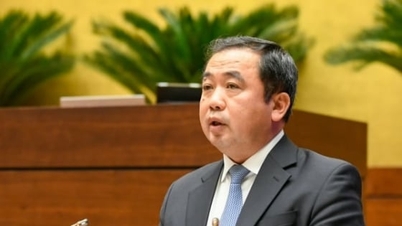 ستكون هناك استراتيجية وطنية بشأن المعادن النادرة.