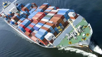 CPTPP memperluas peluang ekspor senilai miliaran dolar untuk barang-barang Vietnam di Amerika