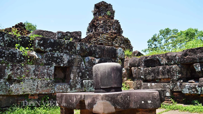 The world of yin and yang mascots in My Son