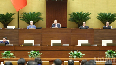 قومی اسمبلی نے دسویں اجلاس کے پروگرام میں 7 مشمولات شامل کرنے پر اتفاق کیا۔