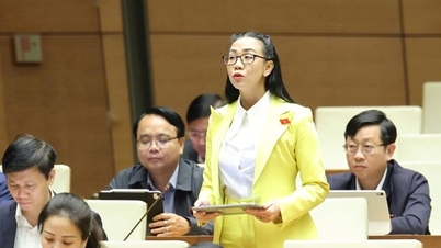 国会議員らは、希土類鉱山で繰り返されることのない、高くついた教訓を提起した。