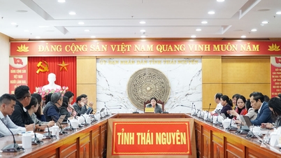 تضمین یک نشان متمایز در جشنواره «تای نگوین - عطر و رنگ چای معروف»