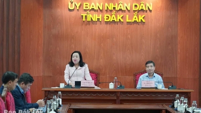 Fokus pada penanggulangan dampak bencana alam dan tanggap terhadap badai No. 15