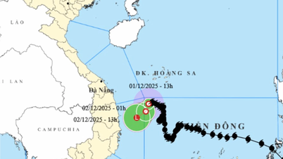 Une tempête en mer de l'Est s'affaiblit et devient une dépression tropicale.