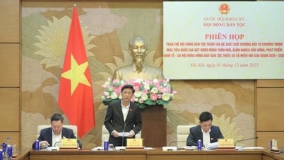 A Nemzeti Tanács felülvizsgálja a 2026-2035 közötti időszakra vonatkozó Nemzeti Célprogramot.