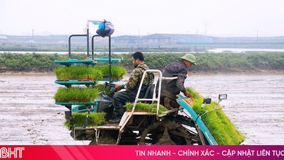 הא טין שואפת לחקלאות ירוקה מייצור מפחית פליטות