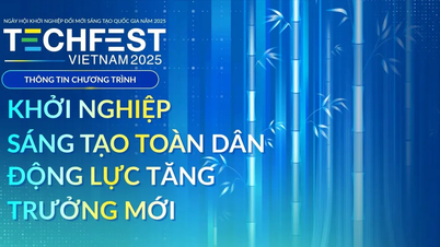 Techfest Vietnam 2025: Open connection space, inspiring creative startups
