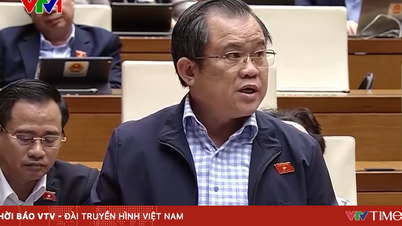 Külön szabályozásoknak kell lenniük a ritkaföldfémek feltárására és kitermelésére vonatkozó tevékenységekre.