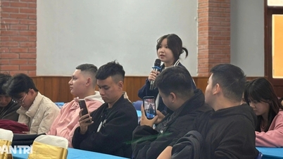 ہنوئی اسکول آف ٹورازم A80 الاؤنس کو ایک ساتھ کیوں منتقل نہیں کرتا؟