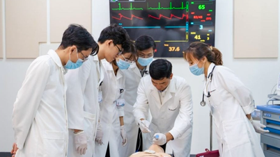 طبی تربیت کے معیار کو سخت کرنا: پریکٹس کو معیاری بنانا اور میجرز کھولنے کے لیے حالات کو کنٹرول کرنا