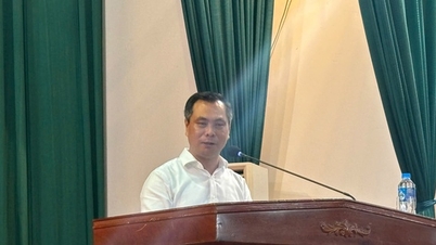 Kepala Sekolah Tinggi Pariwisata Hanoi mengatakan "kelalaian" dan "pemikiran sederhana" saat membayar A80