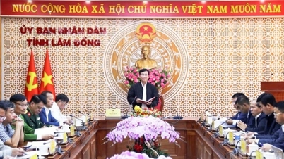 Lam Dong hotărât să finalizeze „Campania Quang Trung”...