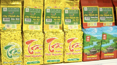 Thai Nguyen OCOP-Produkte auf E-Commerce-Plattformen bringen