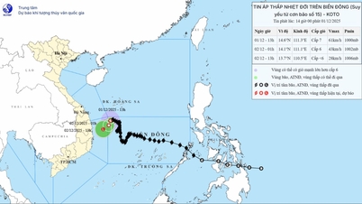 La tormenta número 15 se debilita a depresión tropical