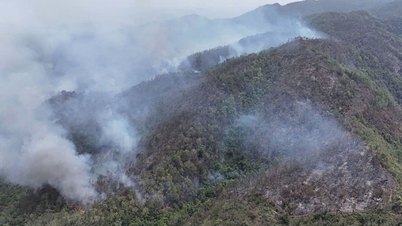 बाक निन्ह: कई इलाकों में जंगल की आग के खतरे की चेतावनी