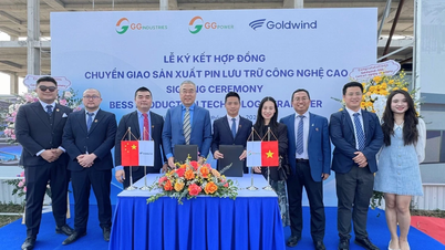 Вьетнамские предприятия постепенно осваивают базовую технологию аккумуляторных батарей