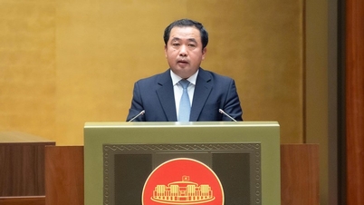 វៀតណាម​មាន​ទុនបម្រុង​ផែនដី​កម្រ​ក្នុង​ចំណោម​ប្រទេស​កំពូល​ក្នុង​ពិភពលោក។