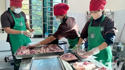 「タイグエンのエリート緑茶豚」ブランドの開発