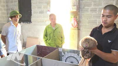 野生動物の養殖活動の管理強化