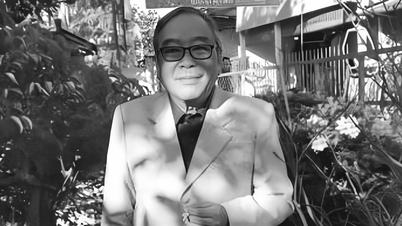 Penulis lagu terkenal 'Homeland River' - musisi Dinh Tram Ca meninggal dunia