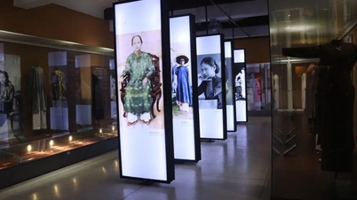 दुनिया भर के संग्रहालयों के मीडिया रुझान और वियतनाम के लिए सुझाव