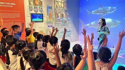 Da Nang: Museer förändras i den digitala tidsåldern