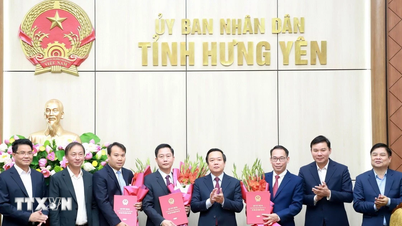 مقاطعة هونغ ين تعين وتحشد قادة الإدارات والفروع