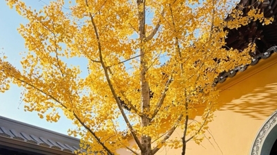 Wuzhen: senhøst ved de gamle kanalene og svingete steinbroene