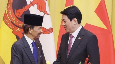 הנשיא לואונג קואנג מקבל את פני מלך ברוניי וקיים שיחות עמו