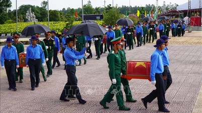 ក្រុម K91 បានរកឃើញអដ្ឋិធាតុរបស់ទុក្ករបុគ្គលចំនួន ៥ កំឡុងពេលស្វែងរកនៅកម្ពុជា