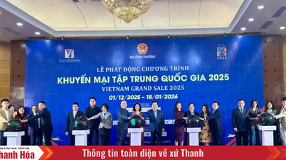 本日より最大100%割引の全国集中プロモーションプログラムを実施